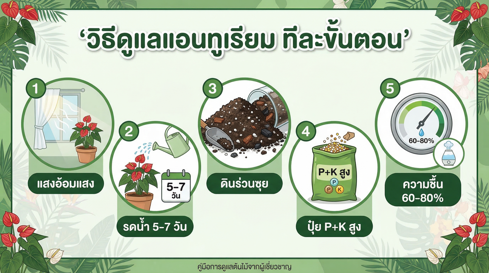 วิธีดูแลแอนทูเรียม ทีละขั้นตอน