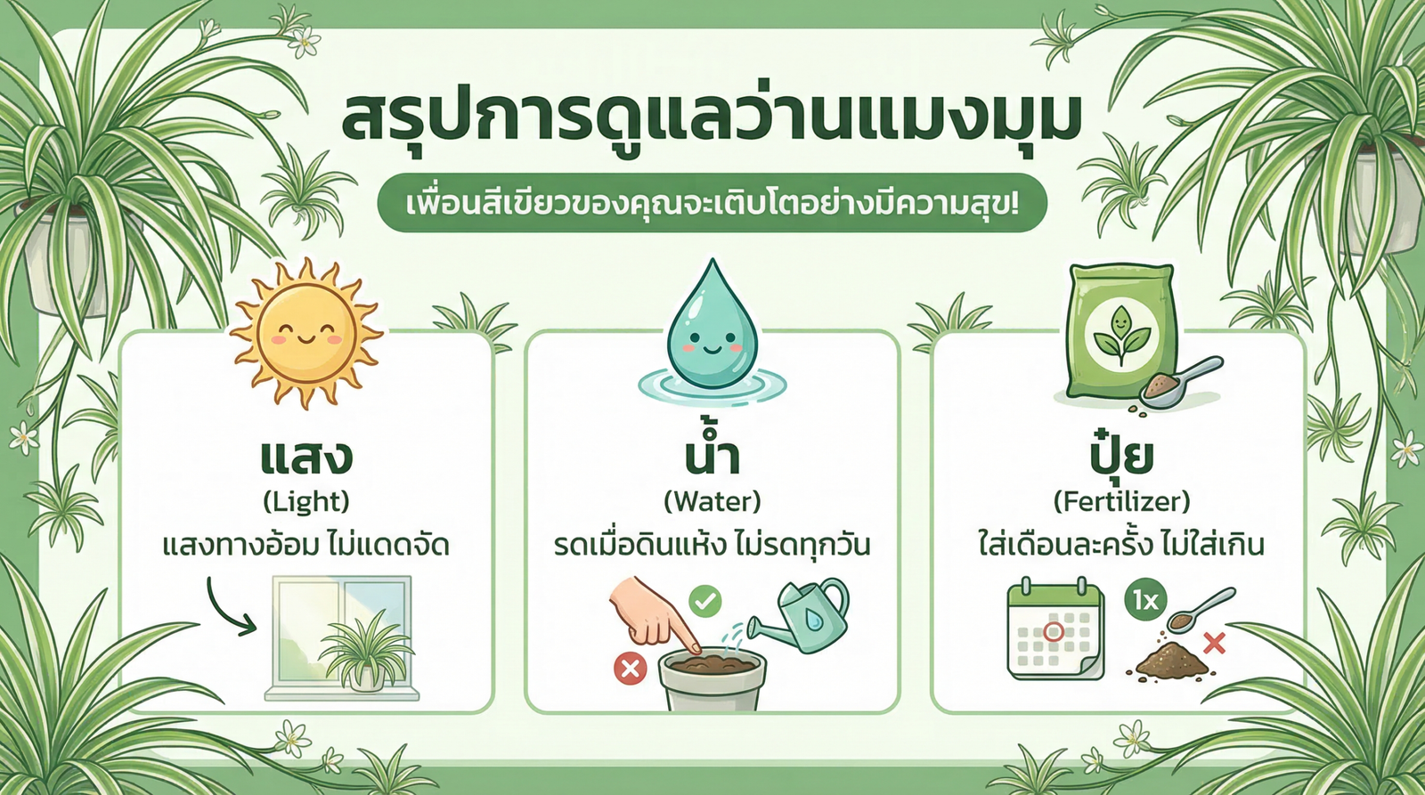 สรุปการดูแลว่านแมงมุม