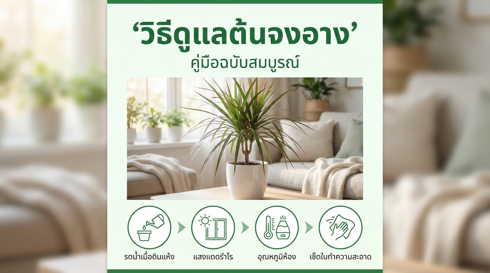 วิธีดูแลต้นจงอาง Dracaena คู่มือสมบูรณ์
