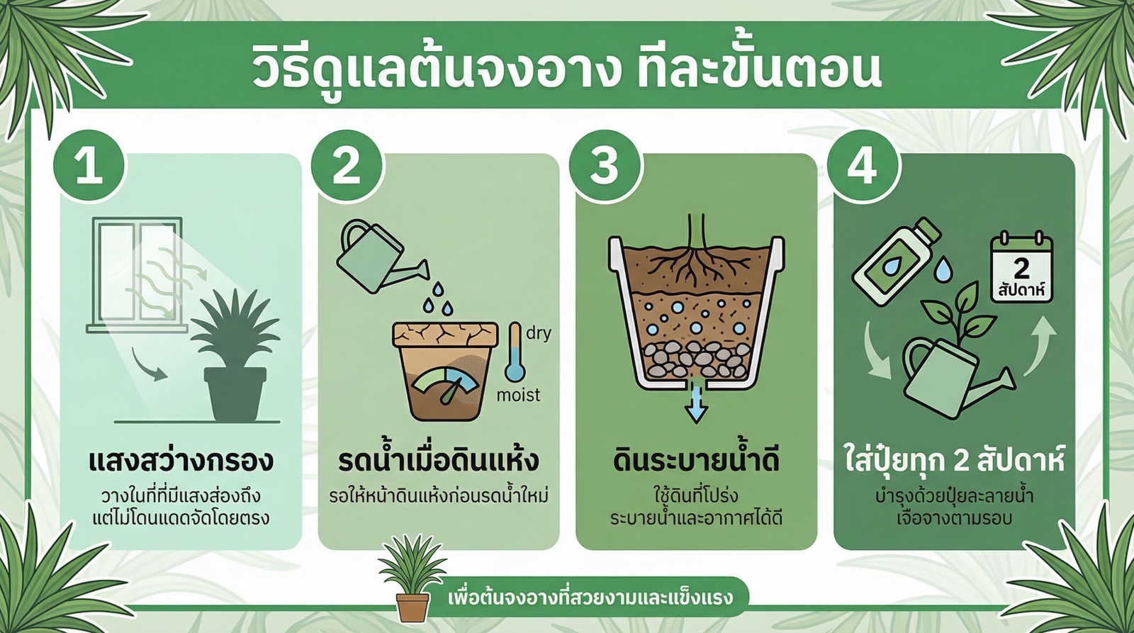 วิธีดูแลต้นจงอางทีละขั้นตอน