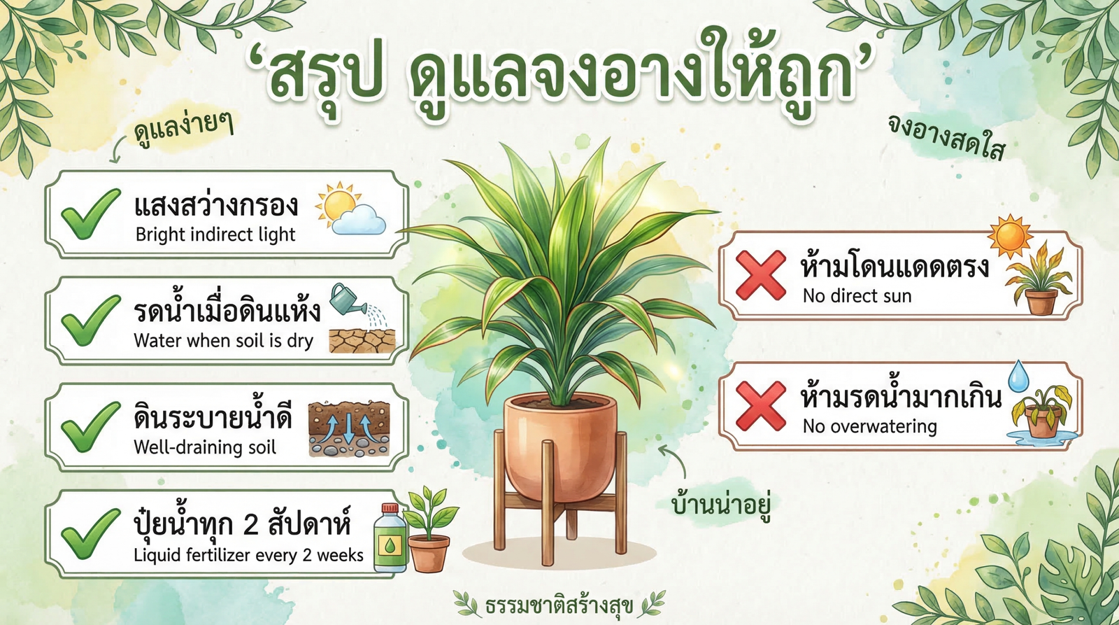 สรุปวิธีดูแลต้นจงอางให้ถูกต้อง