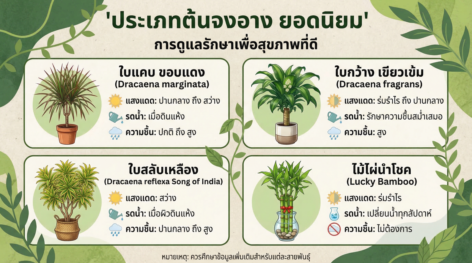 ประเภทต้นจงอาง Dracaena ยอดนิยม