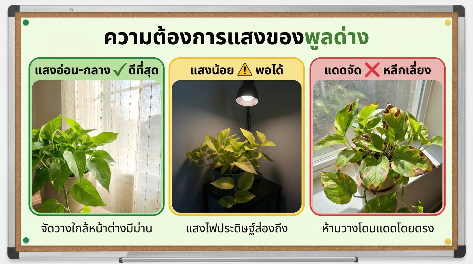 แสงสำหรับเงินไหลมา