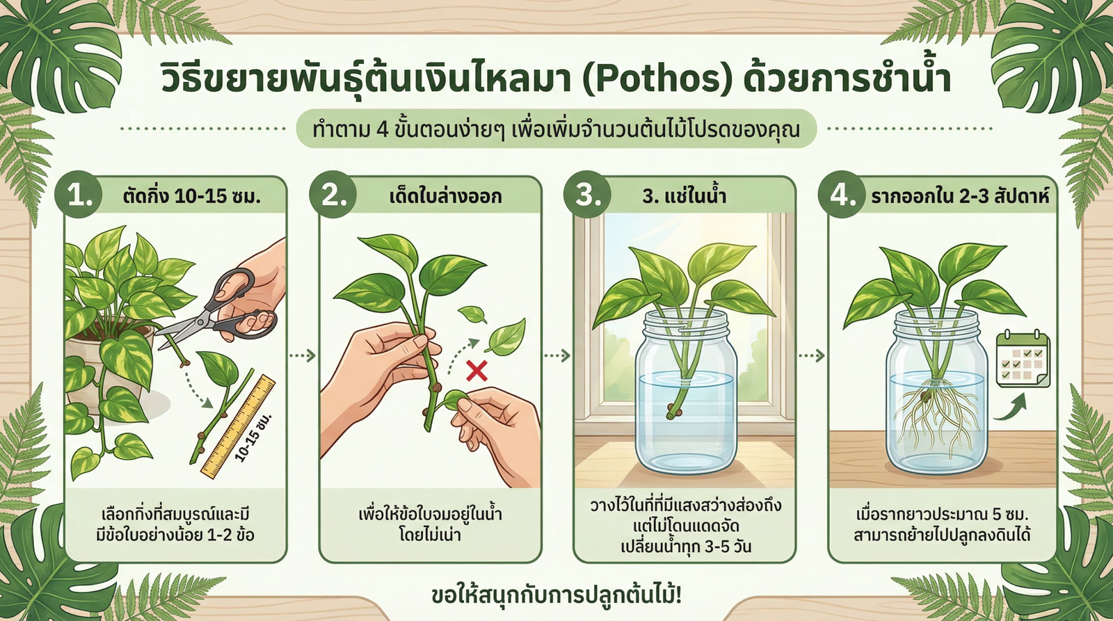 วิธีตัดชำเงินไหลมา