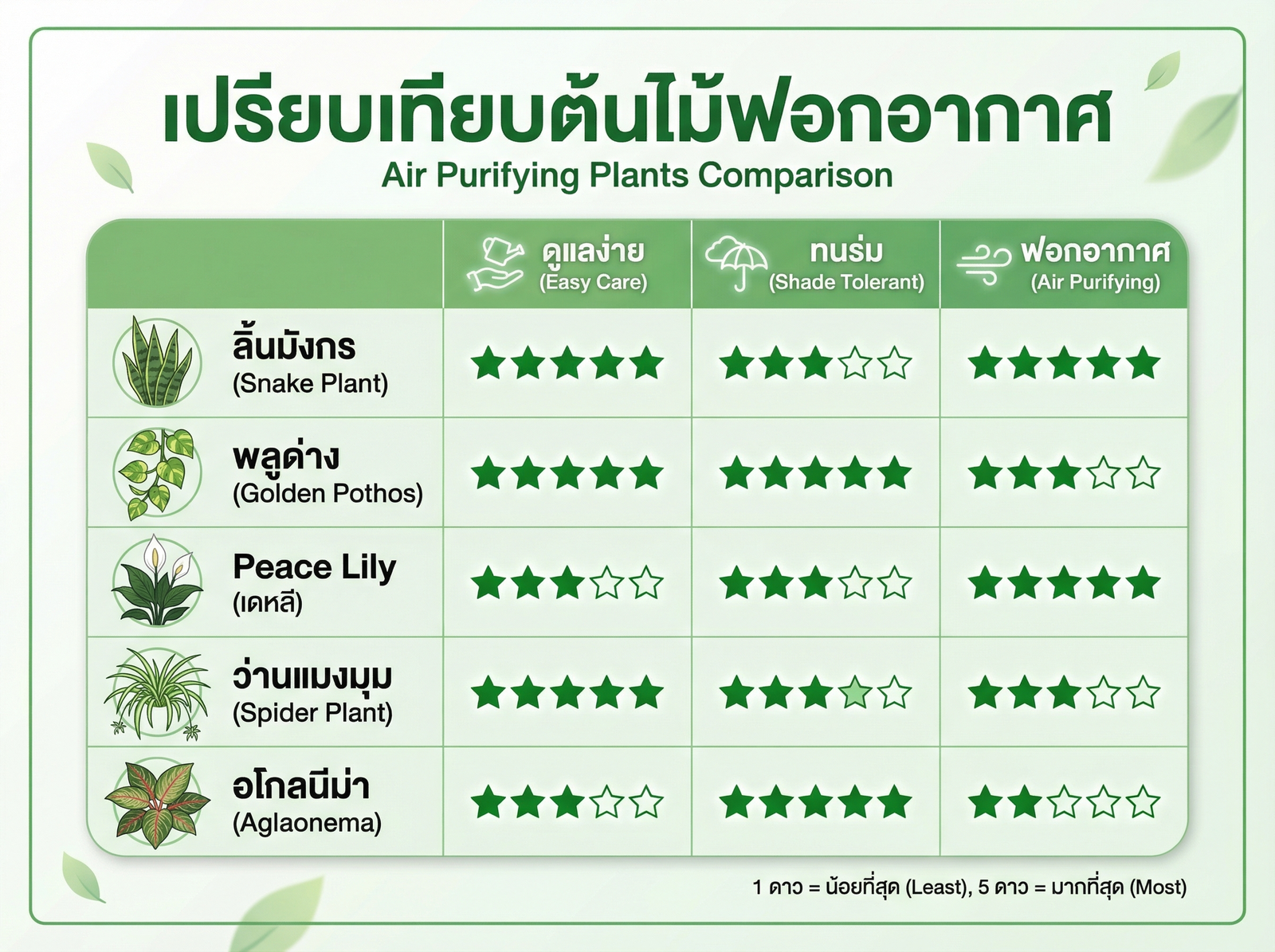 เปรียบเทียบต้นไม้ฟอกอากาศ