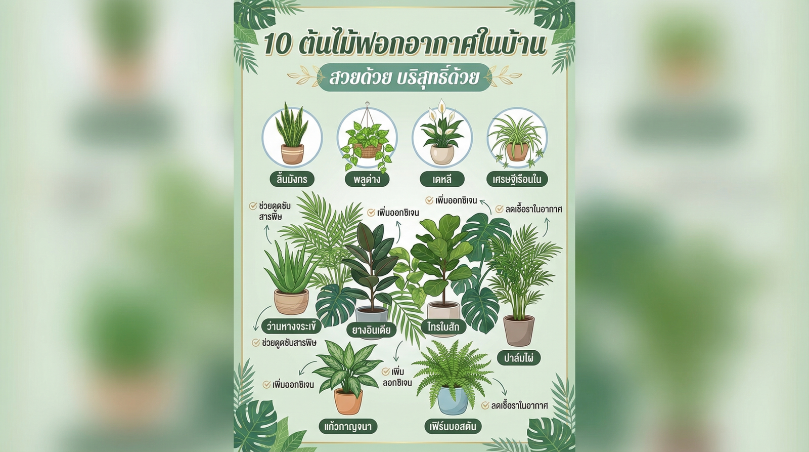 ต้นไม้ฟอกอากาศในบ้าน