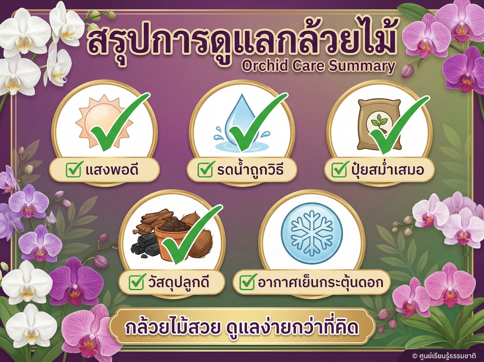 สรุปการดูแลกล้วยไม้