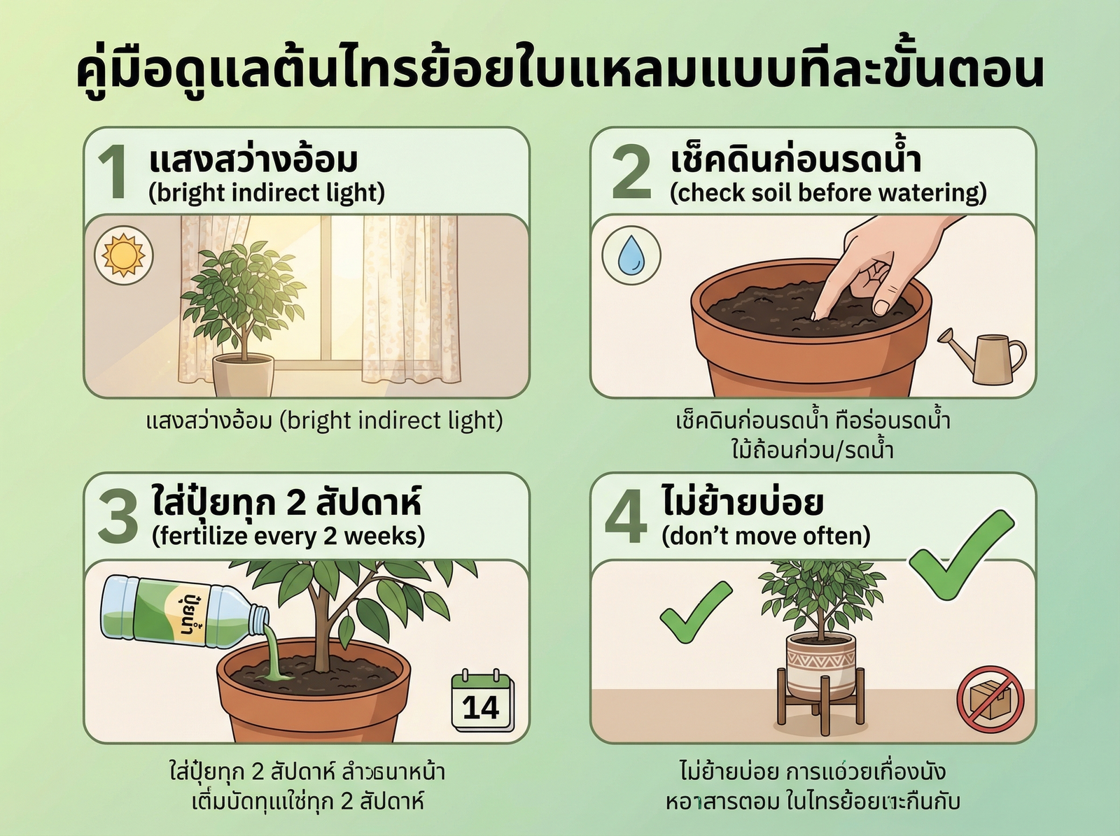 ขั้นตอนดูแลต้นไทรย้อย