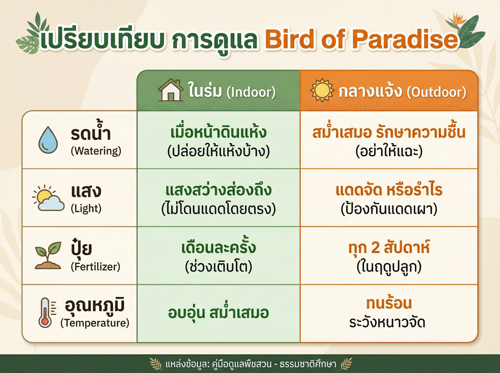 เปรียบเทียบการดูแล Bird of Paradise ในบ้านและกลางแจ้ง