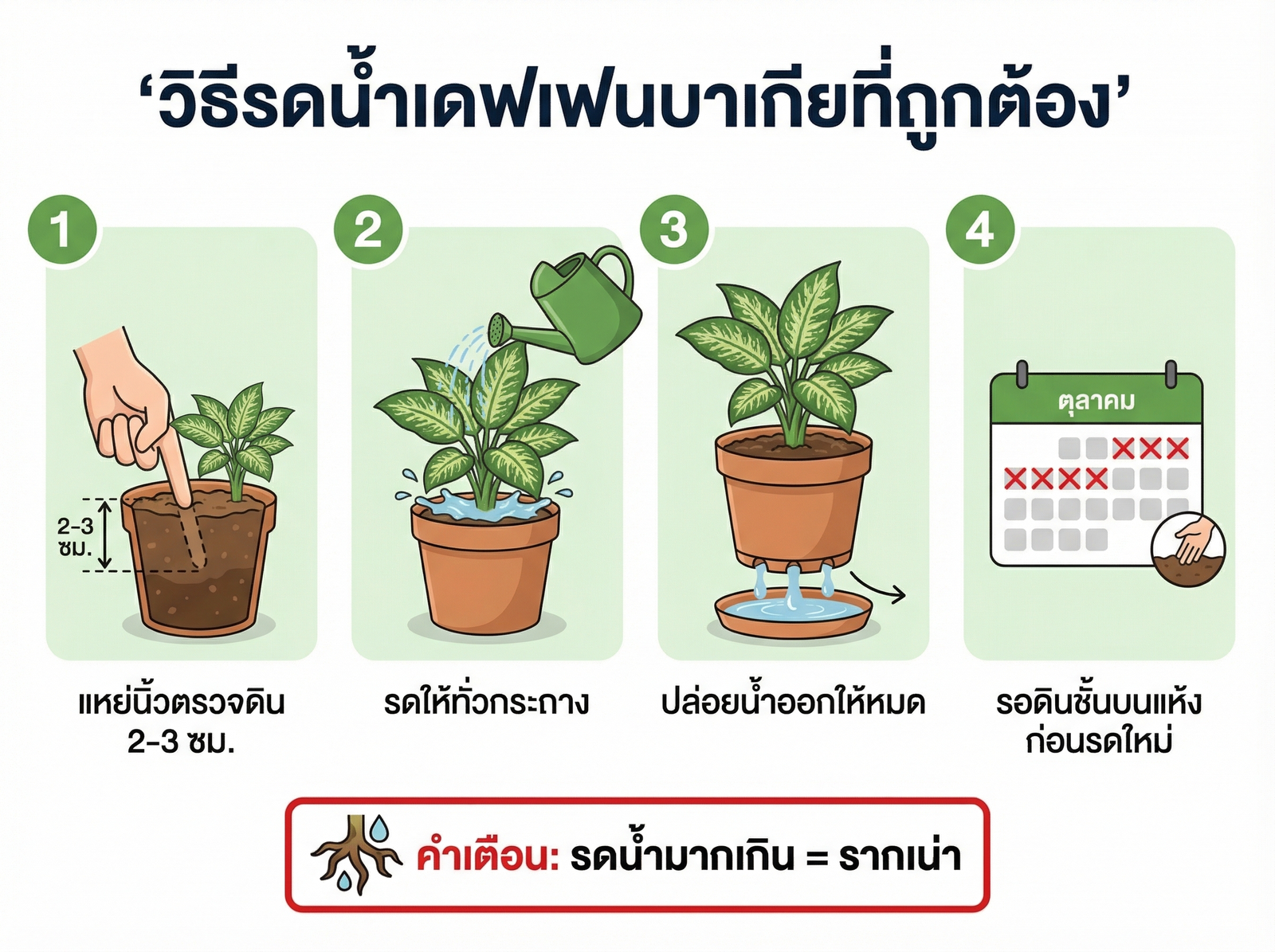 วิธีรดน้ำเดฟเฟนบาเกีย