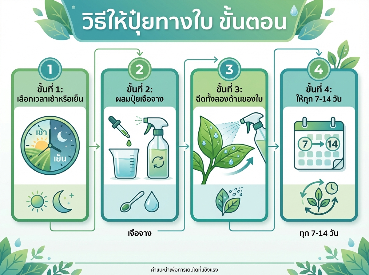 วิธีให้ปุ๋ยทางใบขั้นตอน