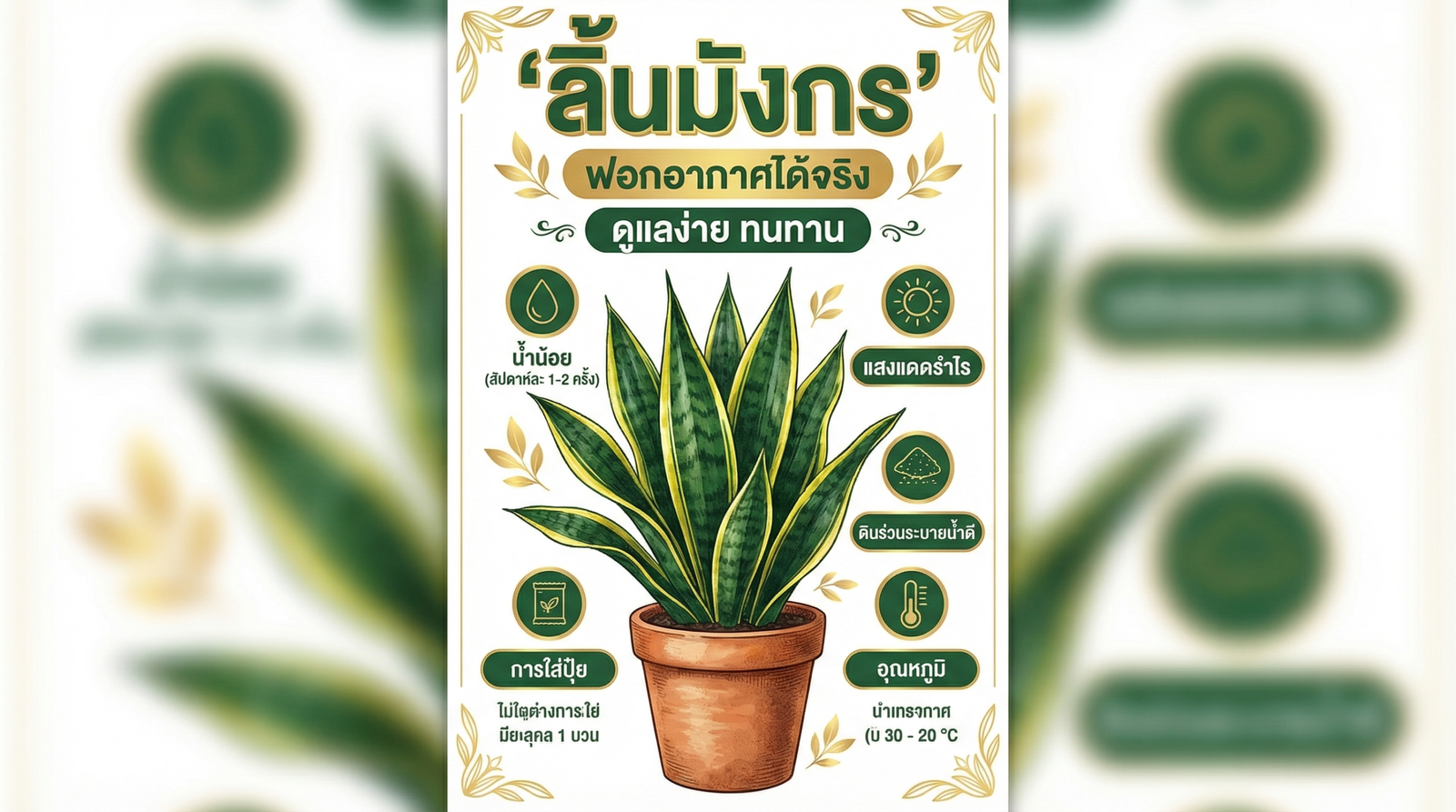 วิธีดูแลลิ้นมังกร