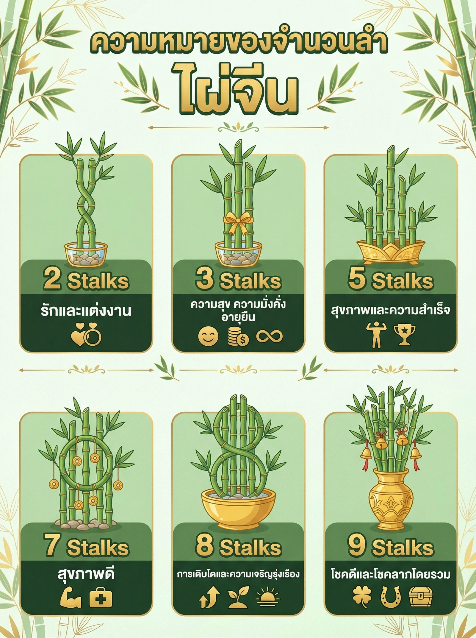 ความหมายจำนวนลำไผ่จีน