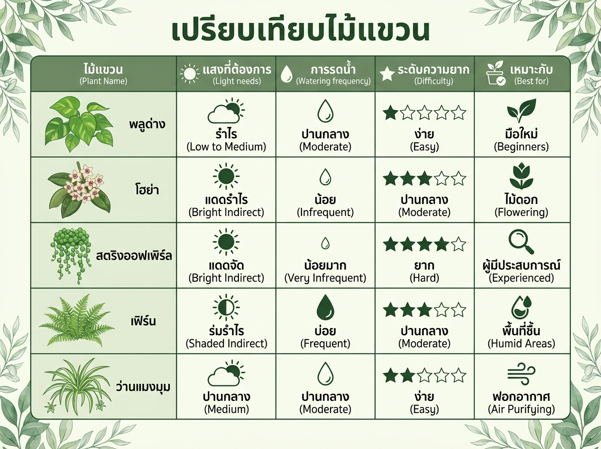 เปรียบเทียบไม้แขวน