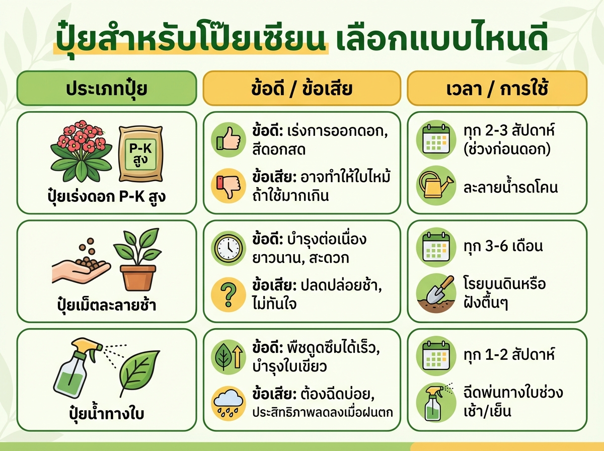 ปุ๋ยสำหรับโป๊ยเซียน เลือกแบบไหนดี