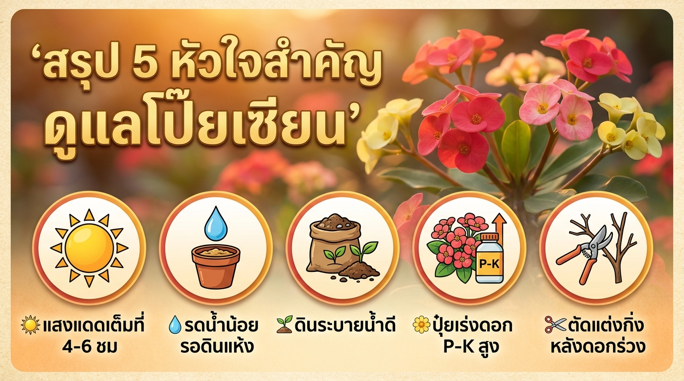 สรุป 5 หัวใจดูแลโป๊ยเซียน