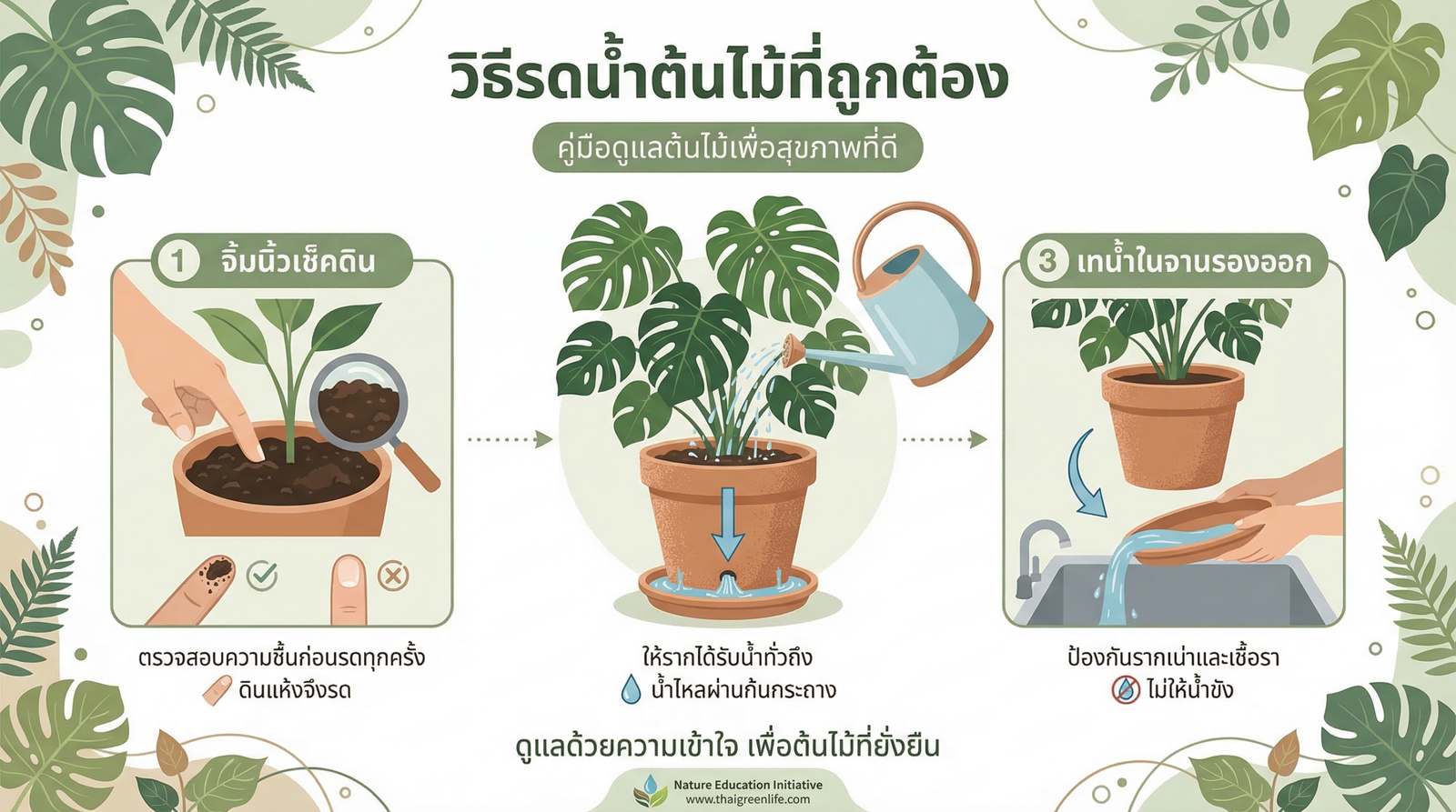 วิธีรดน้ำต้นไม้ที่ถูกต้อง