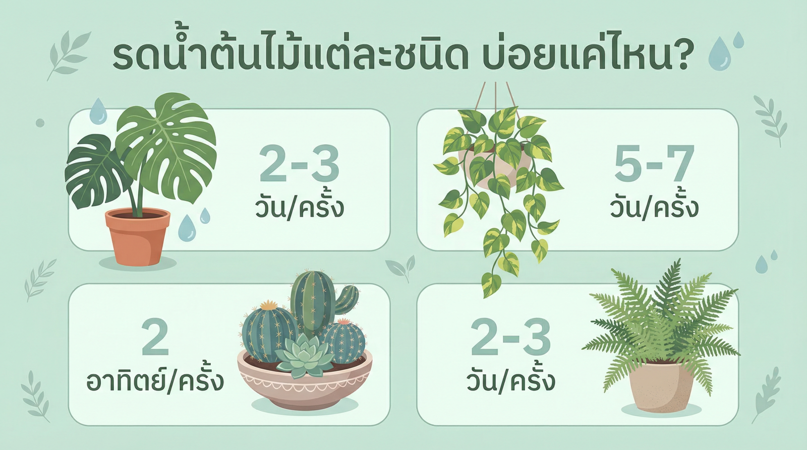 ความถี่การรดน้ำต้นไม้แต่ละชนิด
