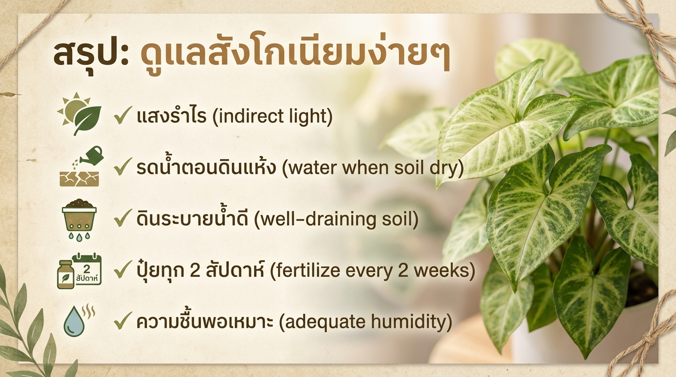 สรุปการดูแลสังโกเนียม