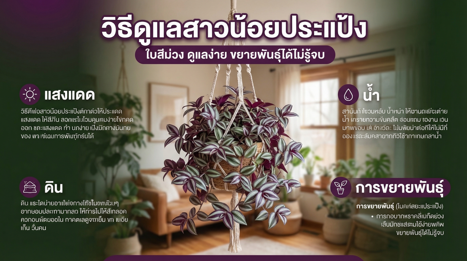 วิธีดูแลสาวน้อยประแป้ง Tradescantia