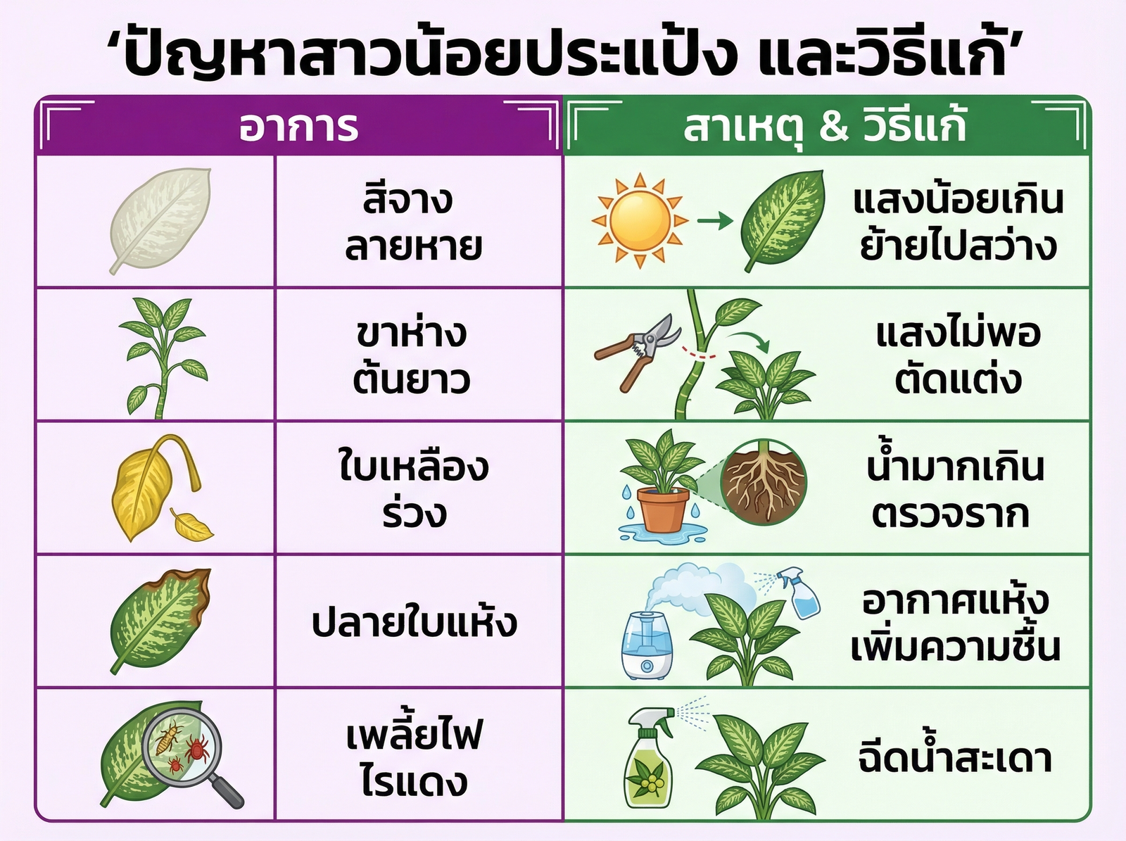 ปัญหาสาวน้อยประแป้งและวิธีแก้