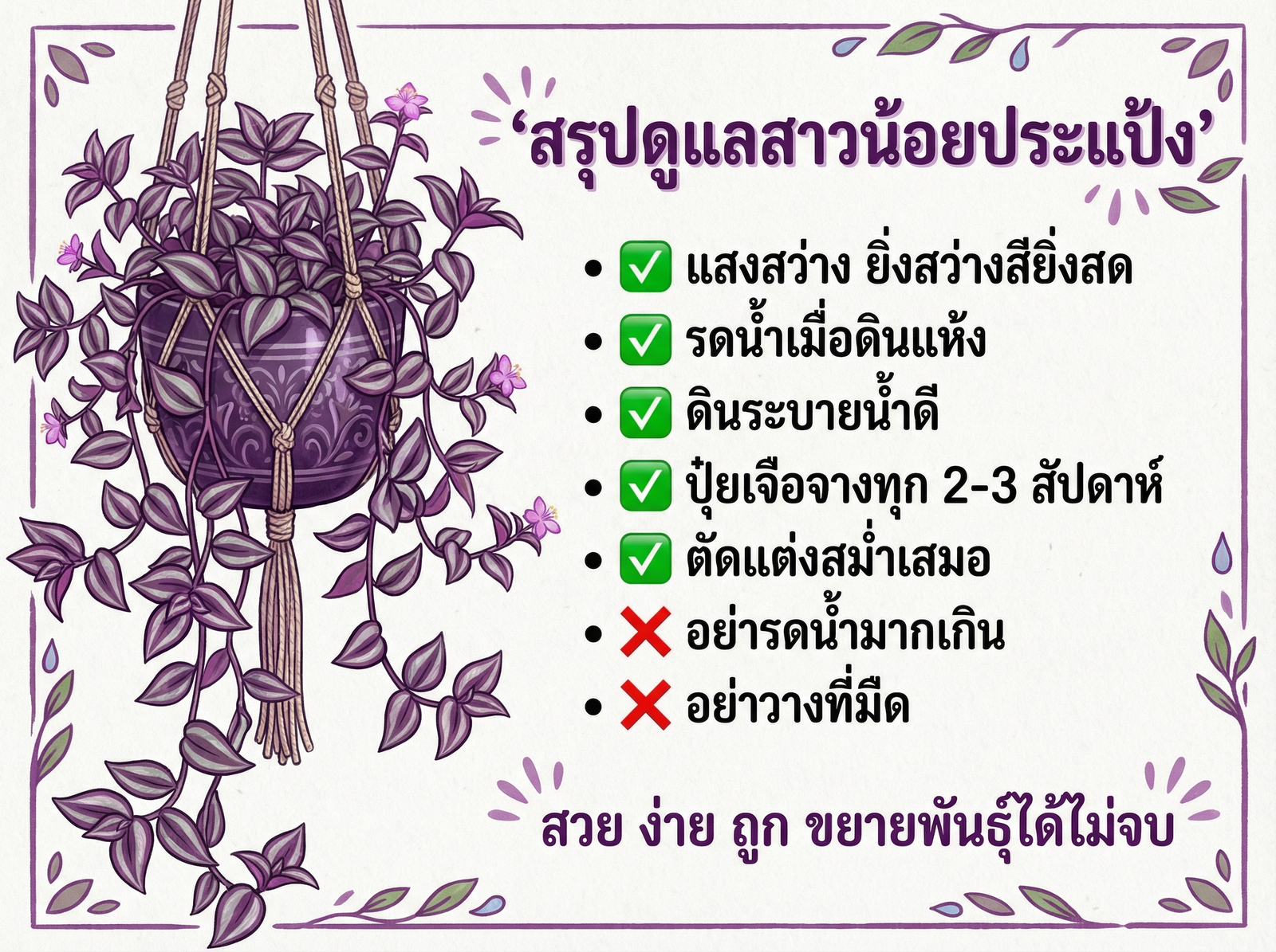 สรุปการดูแลสาวน้อยประแป้ง