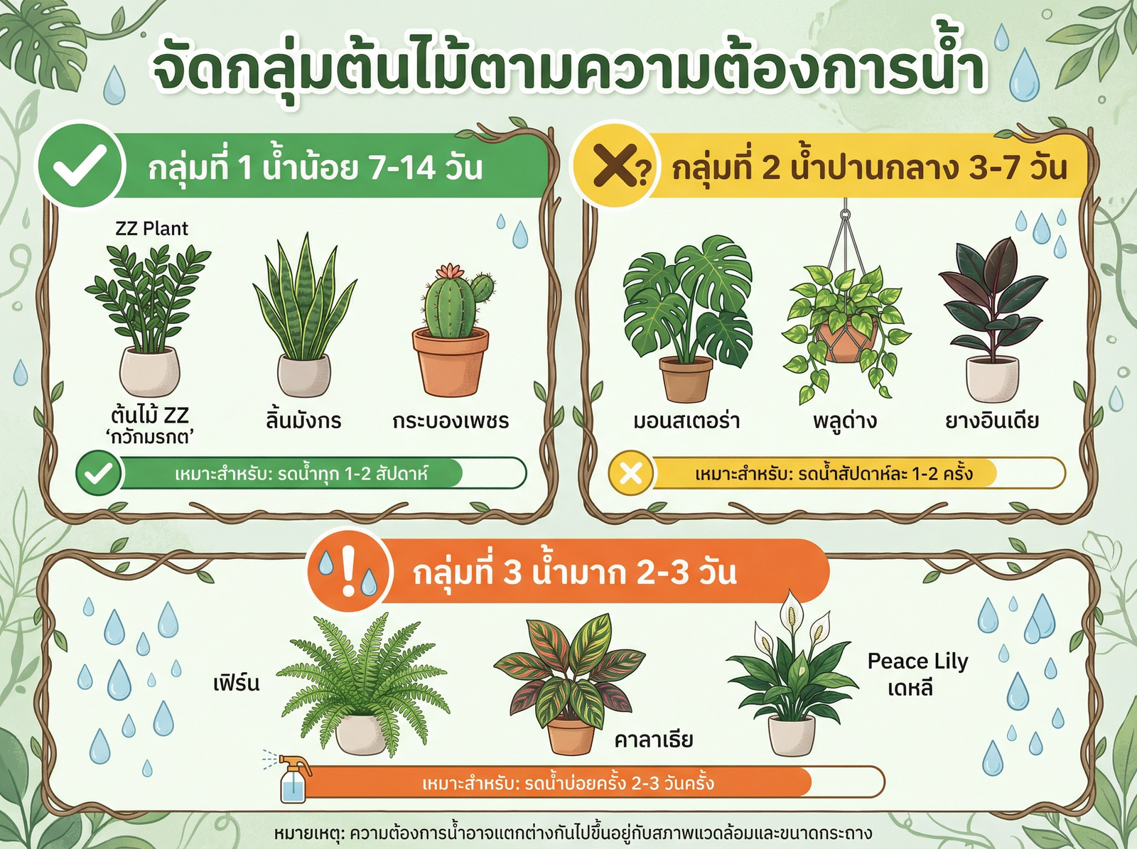 จัดกลุ่มต้นไม้ตามความต้องการน้ำ