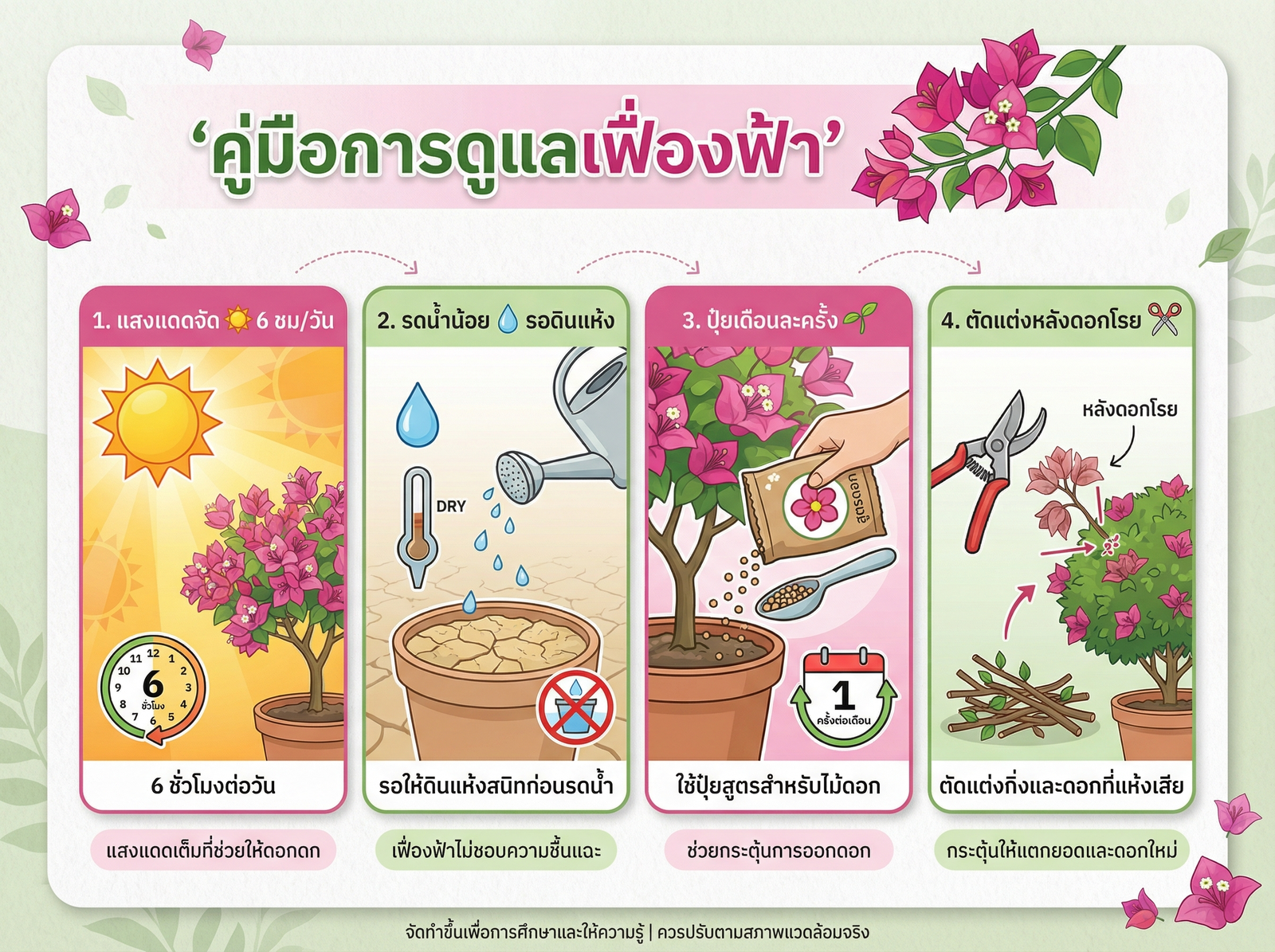 วิธีดูแลต้นกระดาษ ขั้นตอนครบ