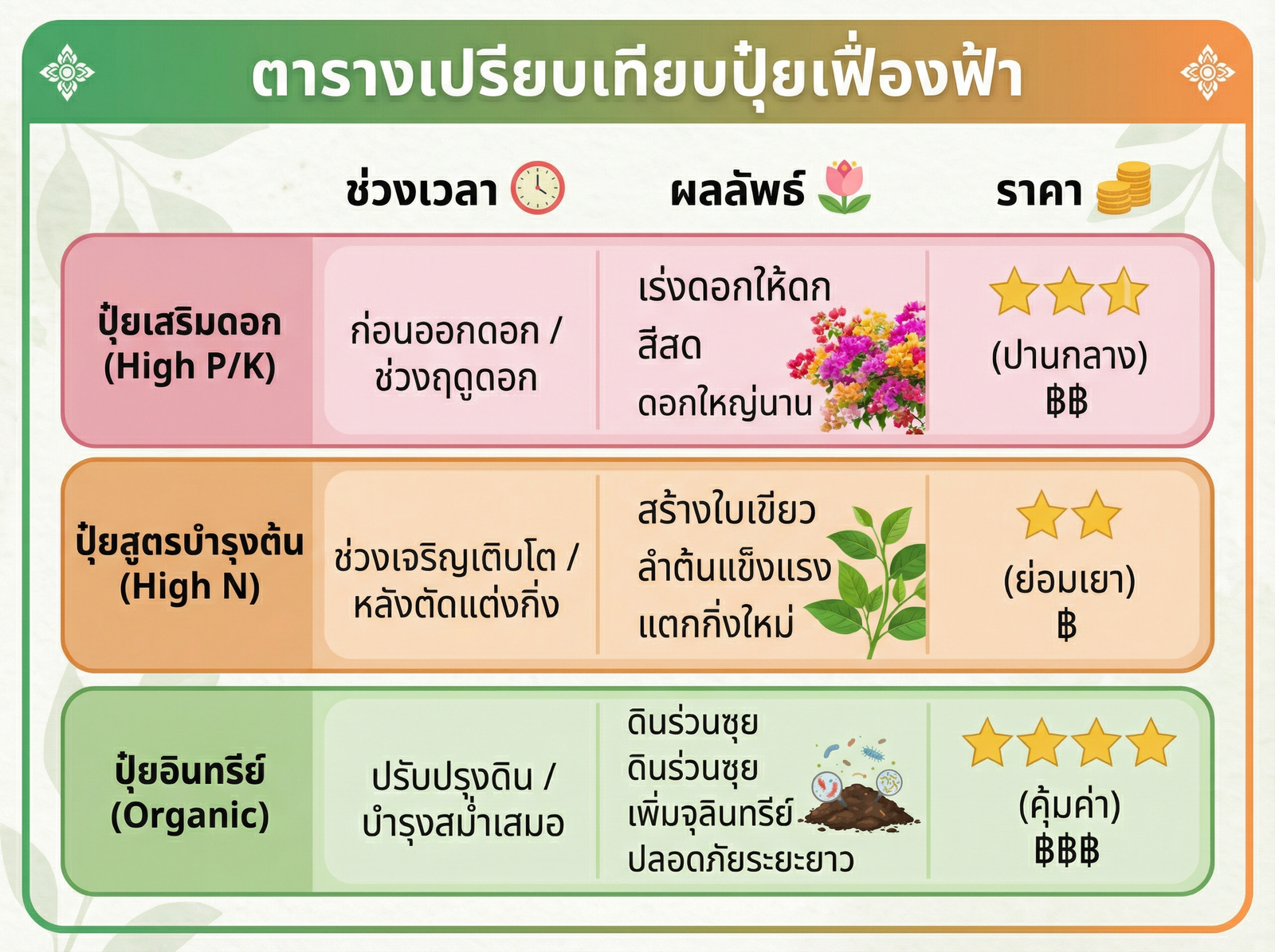 เปรียบเทียบปุ๋ยสำหรับต้นกระดาษ