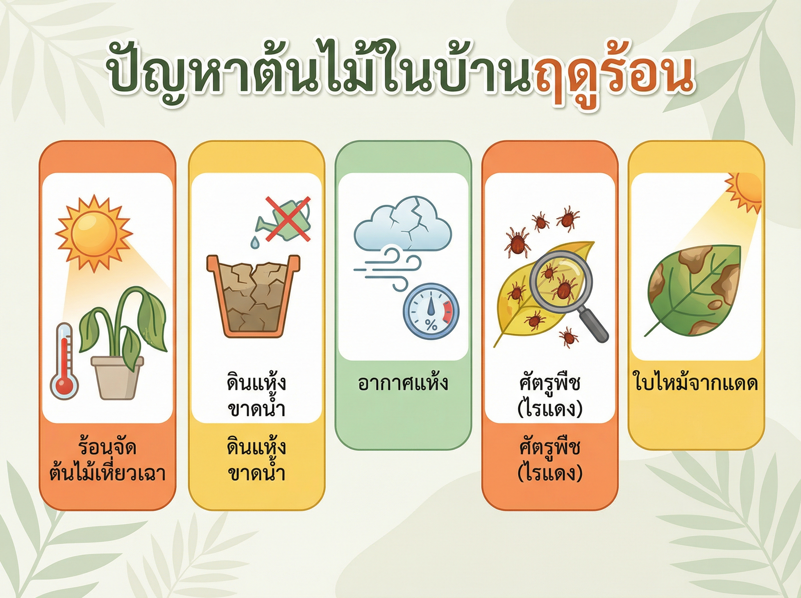 5 ปัญหาต้นไม้ในหน้าร้อน