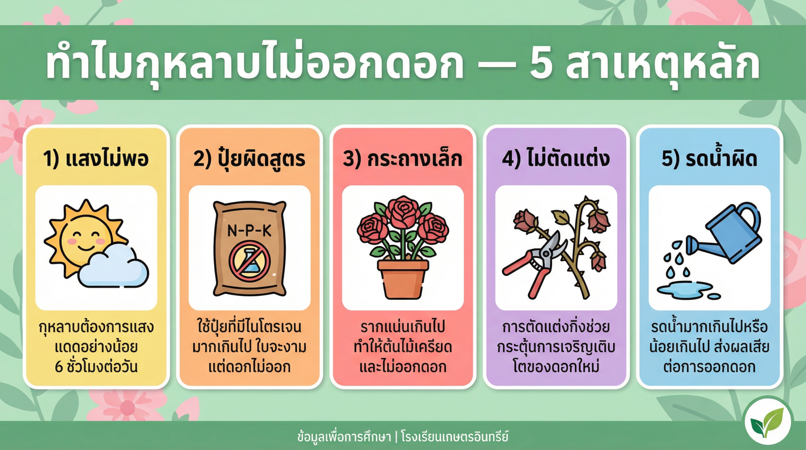 สาเหตุที่กุหลาบไม่ออกดอก